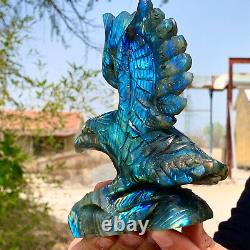 1.44LB Natural beautiful labradorite crystal hand- carved Flying Eagle