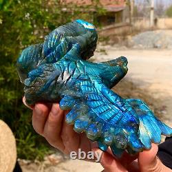 1.44LB Rare natural labradorite crystal hand-carved eagle sculpture cure