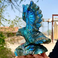 1.44LB Rare natural labradorite crystal hand-carved eagle sculpture cure