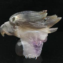1.45LB Natural Geode Agate quartz eagle skull hand Carved crystal JK392