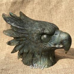1.45LB Natural Labradorite eagle skull crystal spectrolite hand carved