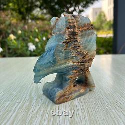 1.4LB 5 Hand Carved Natural Blue Onyx Eagle Quartz Crystal Aniaml Carving Decor