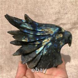 1.4LB Natural labradorite Quartz eagle skull crystal Hand Carved Healing MDK3316