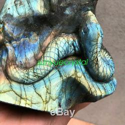 1.51KG Natural Labradorite eagle snake Hand Carved Crystal Healing OK593-SWB