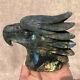1.54lb Natural Labradorite Quartz Hand Carved Crystal Eagle Head Healing. Dk3318