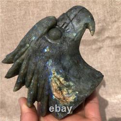 1.54LB Natural labradorite Quartz hand carved crystal eagle head Healing. DK3318