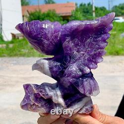 1.55LB Natural dream Amethyst crystal hand carved eagle treatment