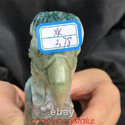 1.56LB Natural Ocnean jasper Eagle's Head Skull Quartz Crystal Hand Carved XK378