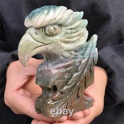 1.56LB Natural ocean jasper Quartz hand carved Crystal eagle skull reiki healing