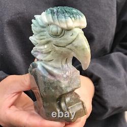 1.56LB Natural ocean jasper Quartz hand carved Crystal eagle skull reiki healing