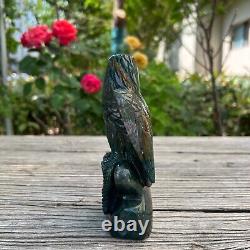 1.5LB 6.1'' Hand Carved Natural Ocean Jasper Eagle Quartz Crystal Carving Decor