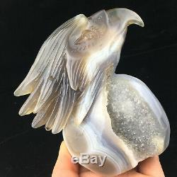1.61LB Natural Agate geode point quartz eagle skull Hand Carved Crystal mk394