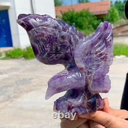 1.61LB Natural dream Amethyst crystal hand carved eagle treatment
