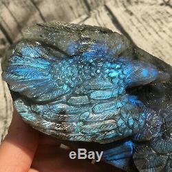 1.62LB Natural Labradorite eagle Hand Carved Crystal Skull Healing OK225-YYY