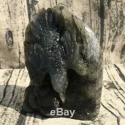 1.62LB Natural Labradorite eagle Hand Carved Crystal Skull Healing OK225-YYY