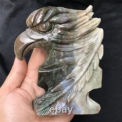 1.62LB Natural Ocean Jasper crystal quartz Hand carved eagle skull Reiki healing