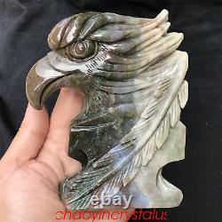 1.62LB Natural Ocnean jasper Eagle's Head Skull Quartz Crystal Hand Carved XK384