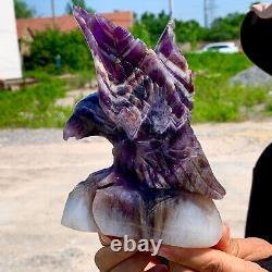 1.63LB Natural dream Amethyst crystal hand carved eagle treatment