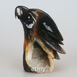 1.64LB 5 Natural Geode Agate Crystal Hand Carved Eagle Head Home Decoration