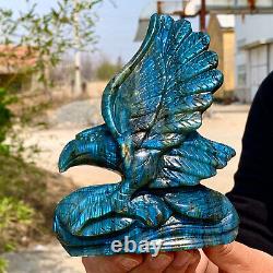 1.64LB Natural beautiful labradorite crystal hand- carved Flying Eagle