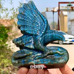 1.64LB Rare natural labradorite crystal hand-carved eagle sculpture cure