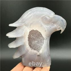 1.65LB Natural Geode Agate eagle skull quartz hand Carved crystal DK298-EAA-1