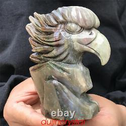 1.67LB Natural Ocnean jasper Eagle's Head Skull Quartz Crystal Hand Carved XK388