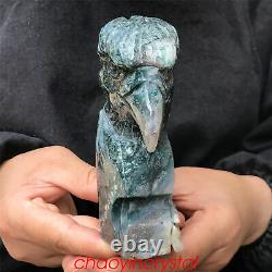 1.69LB Natural Ocnean jasper Eagle's Head Skull Quartz Crystal Hand Carved XK389