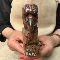 1.69LB Natural Ocnean jasper Eagle's Head Skull Quartz Crystal Hand Carved XK399