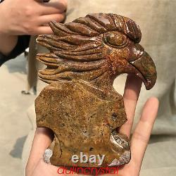 1.69LB Natural Ocnean jasper Eagle's Head Skull Quartz Crystal Hand Carved XK399