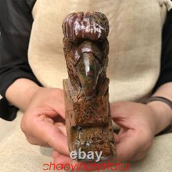 1.69LB Natural Ocnean jasper Eagle's Skull Quartz Crystal Hand Carved XK399