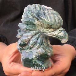 1.6LB Natural Aquatic plant Geode Agate quartz eagle skull hand Carved
