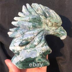 1.6LB Natural Aquatic plant Geode Agate quartz eagle skull hand Carved