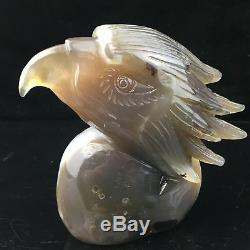 1.6LB Natural Geode Agate quartz eagle skull hand Carved crystal MK394-1