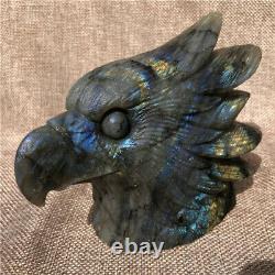 1.71LB Natural labradorite Quartz hand carved crystal eagle head Healing. DK3315