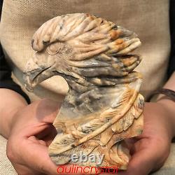 1.76LB Natural Crazy agate Eagle's Head Skull Quartz Crystal Hand Carved XK400