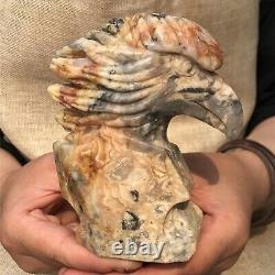1.76LB Natural Crazy agate Quartz hand carved Crystal eagle skull reiki healing