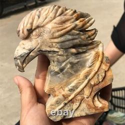 1.76LB Natural Crazy agate Quartz hand carved Crystal eagle skull reiki healing