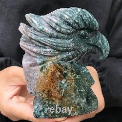 1.82LB Natural ocean jasper Quartz hand carved Crystal eagle skull reiki healing