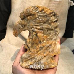 1.84LB Natural Crazy Agate Hand Carved Quartz Crystal Eagle Skull Reiki Gift