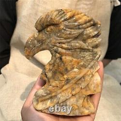 1.84LB Natural Crazy agate Quartz hand carved Crystal eagle skull reiki healing