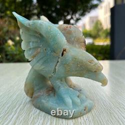 1.8LB 5 Hand Carved Natural Amazonite Eagle Quartz Crystal Aniaml Carving Decor