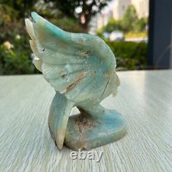 1.8LB 5 Hand Carved Natural Amazonite Eagle Quartz Crystal Aniaml Carving Decor