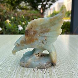 1.8LB 5 Hand Carved Natural Amazonite Eagle Quartz Crystal Aniaml Carving Decor