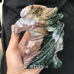 1.8LB Natural Ocean Jasper crystal quartz Hand carved eagle skull Reiki healing