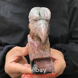 1.8LB Natural Ocnean jasper Eagle's Head Skull Quartz Crystal Hand Carved XK380