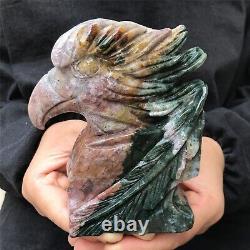 1.8LB Natural ocean jasper Quartz hand carved Crystal eagle skull reiki healing