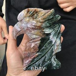 1.8LB Natural ocean jasper Quartz hand carved Crystal eagle skull reiki healing