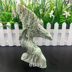 1.90LB Natural banded agate Quartz Hand Carved Eagle Skull Crystal healing decor