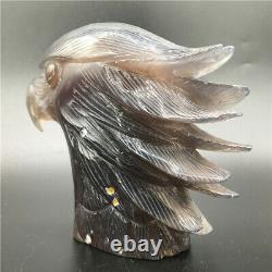 1.91LB Natural Agate geode quartz eagle skull Hand Carved point Crystal MDK329